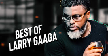 Best Of Larry Gaaga Mixtape