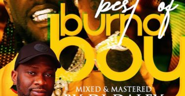 Best Of burna Boy Mixtape