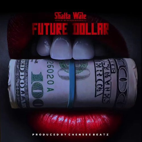 Shatta Wale Future Dollar